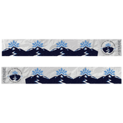 Friends of Bridgeport Avalanche Center Prop Ski Goggle - Black Frame w/ Mirror Chrome Lens - Adult Universal