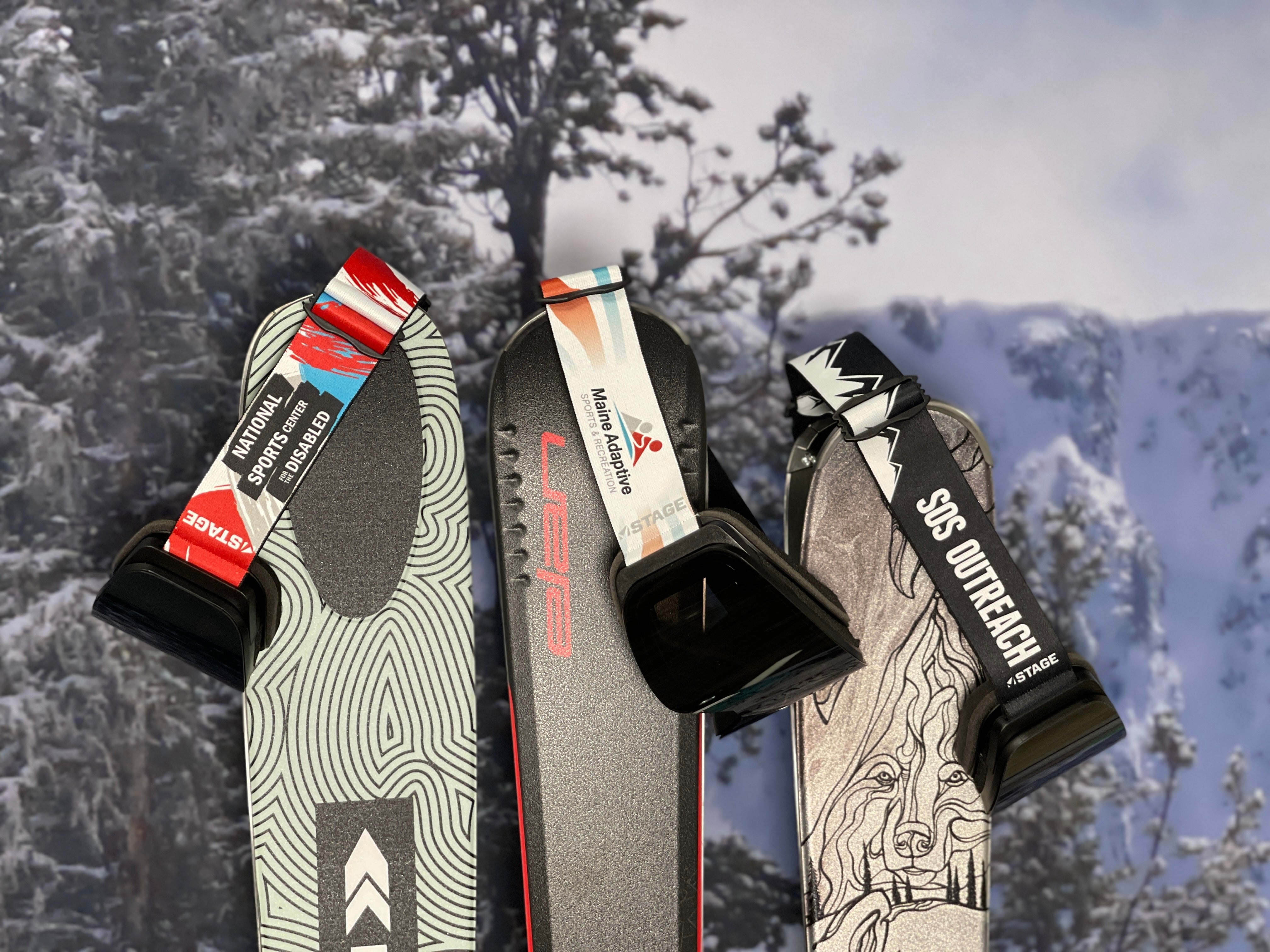Three ski tails prominently displayed against a snowy forest backdrop. From left to right: a ski with a wavy green and black pattern and a red and white strap saying "NATIONAL SPORTS CENTER FOR THE DISABLED", a grey ski with "Maine Adaptive" printed along the side and a green and white strap, and a black ski featuring a white line drawing of a face with a black strap labeled "SOS OUTREACH". All straps have the "STAGE" logo