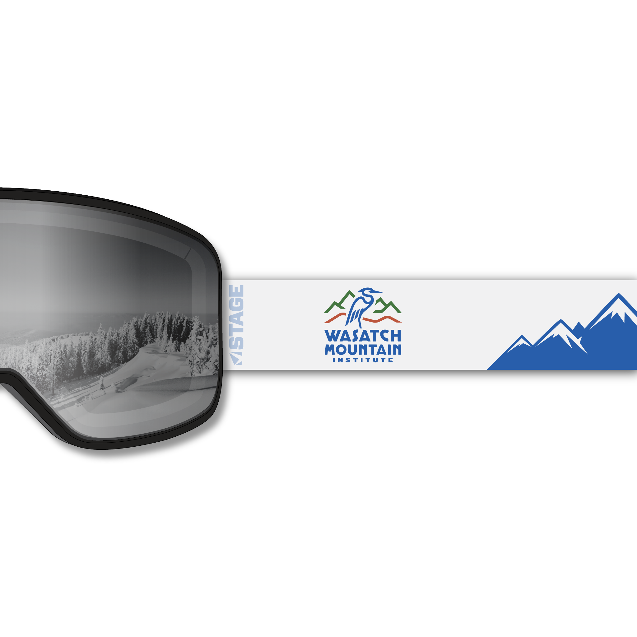 WMIProductShots_NWAC_Prop_Mirror_Chrome_Strap_2138c1b9-4c05-4d04-be9c-90f3f102877b.png