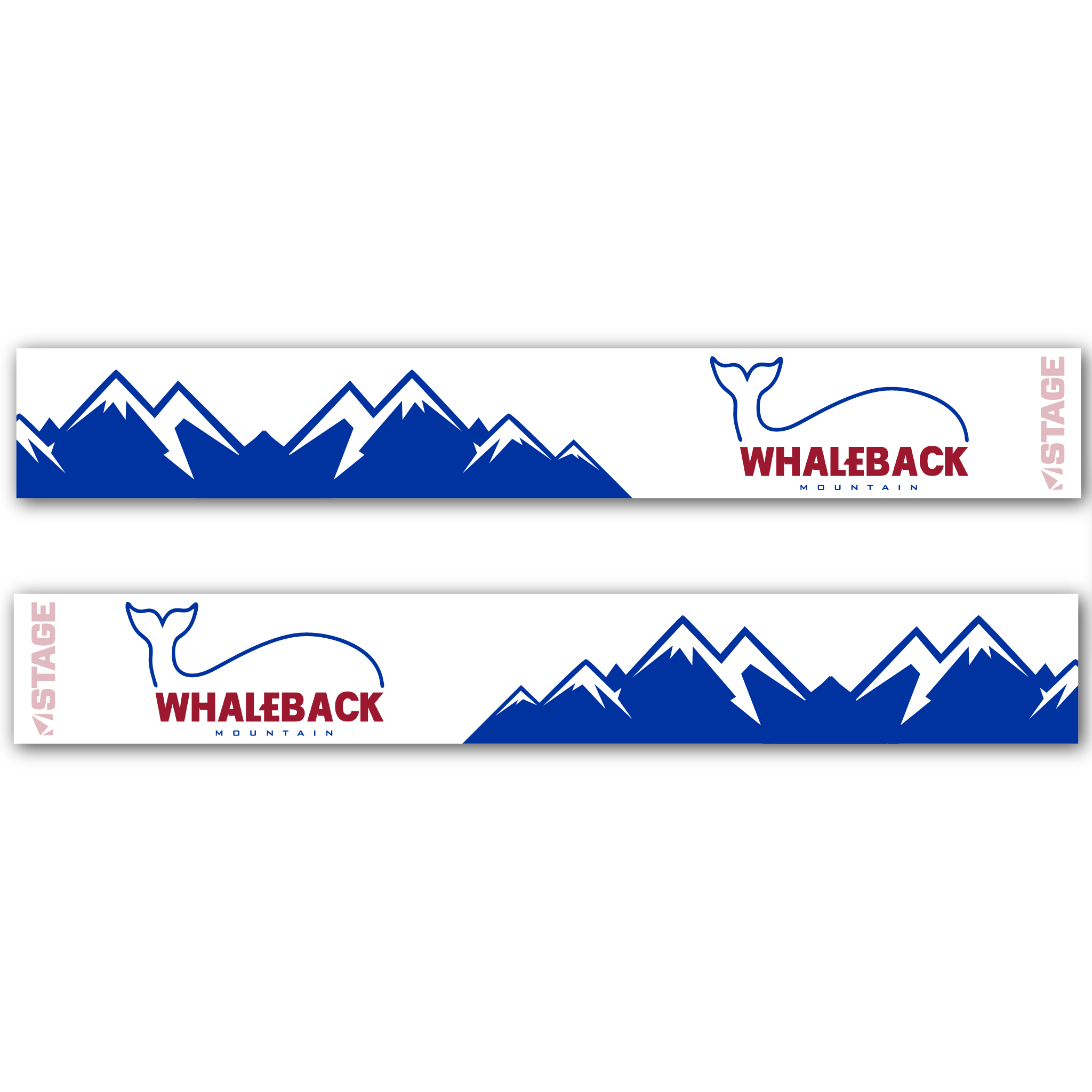 Whaleback Mountain Prop Ski Goggle - Black Frame w/ Mirror Chrome Lens - Adult Universal