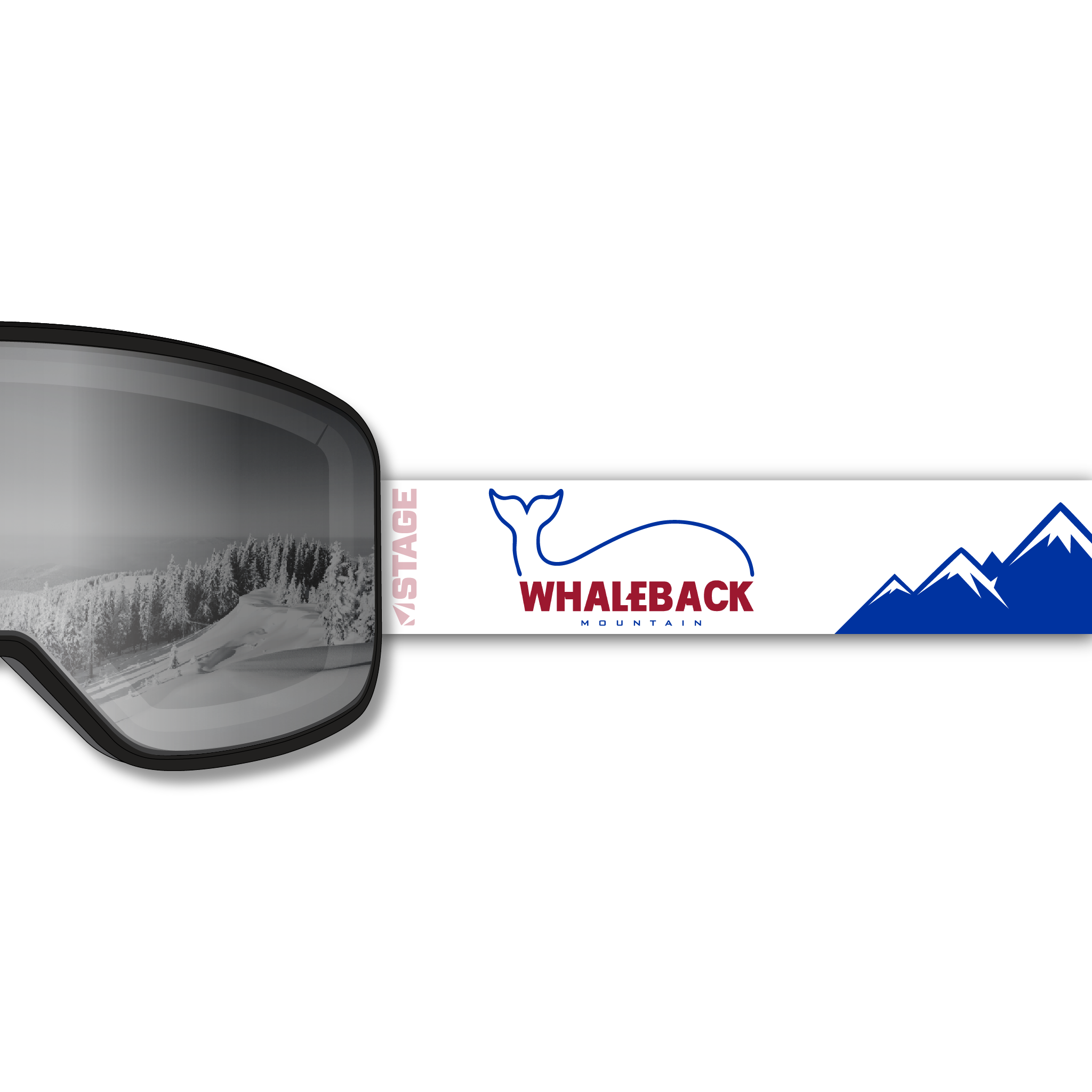 WhaleBackProductShots_NWAC_Prop_Mirror_Chrome_Strap.png