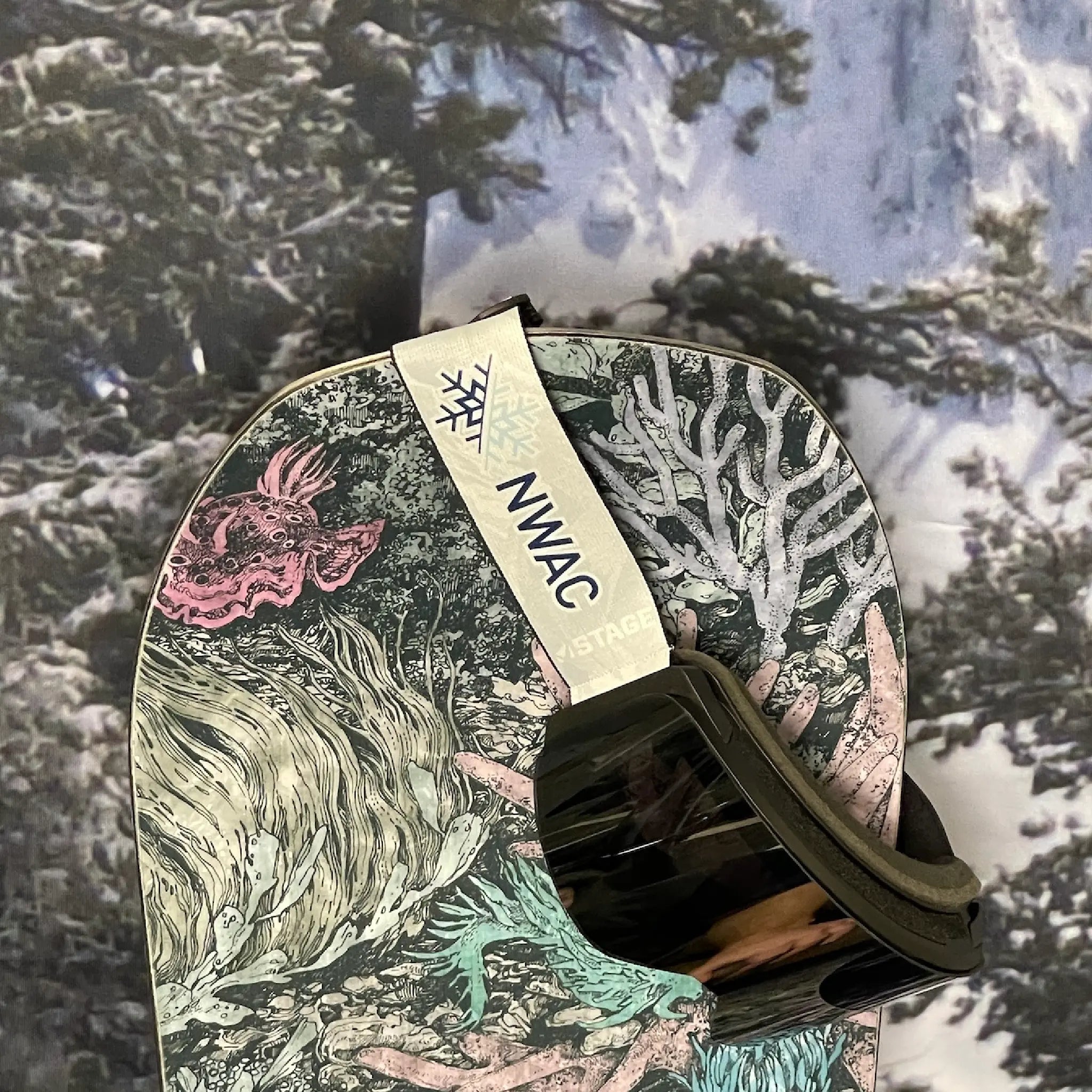 Truly Custom Ski Goggles – STAGE